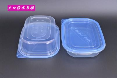 PP transparent fruit salad container